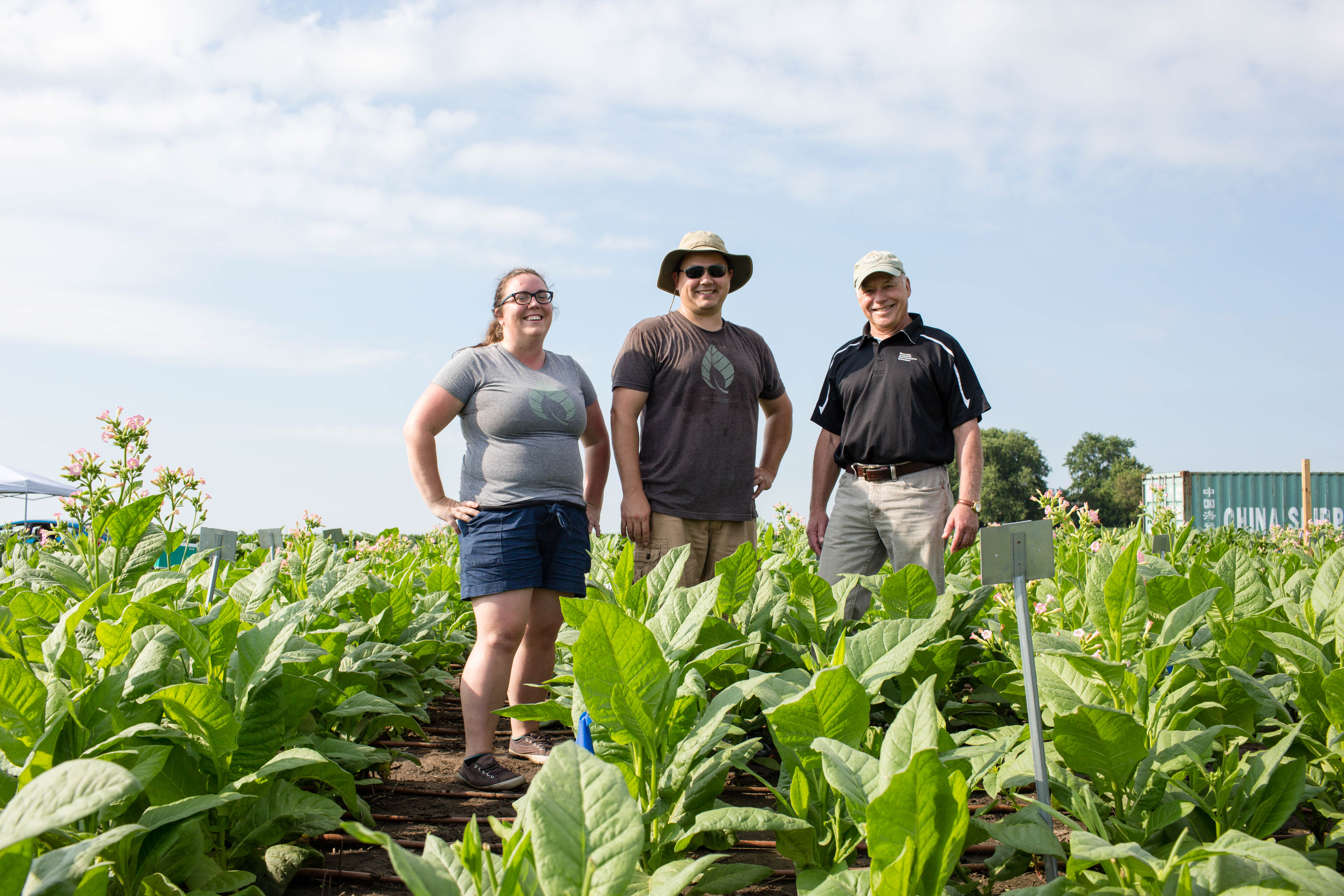 can-hacking-plants-feed-the-world-the-research-looks-good-illinois