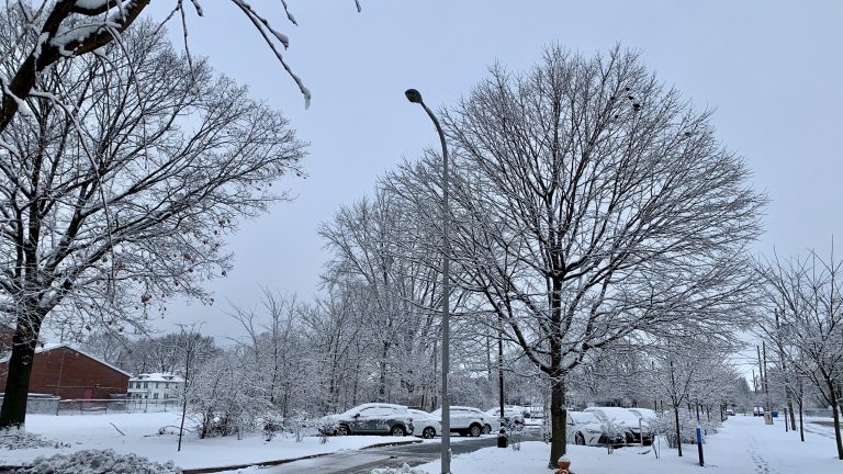 snow in Champaign
