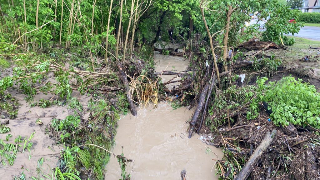 DePue flooding