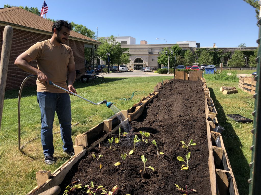 Solidarity gardens
