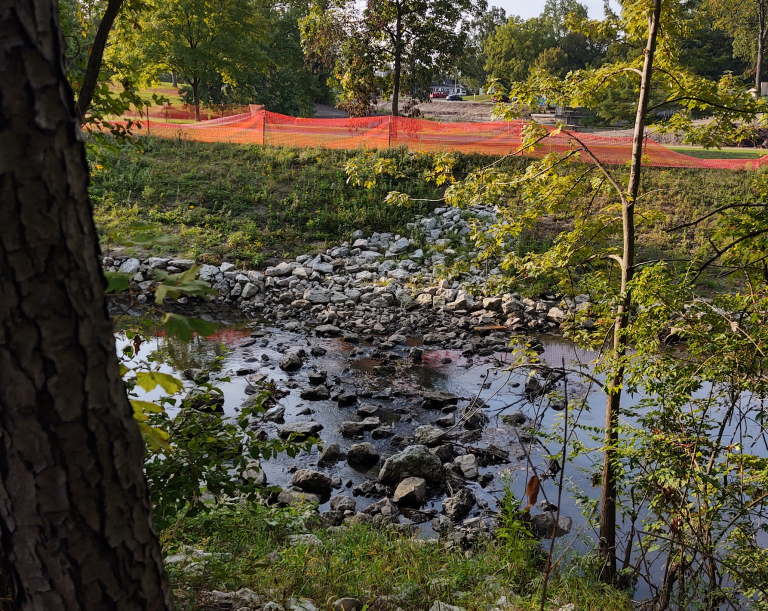 Urbana Park District Continues Restoration Efforts After Ammonia Spill In Salt Fork River