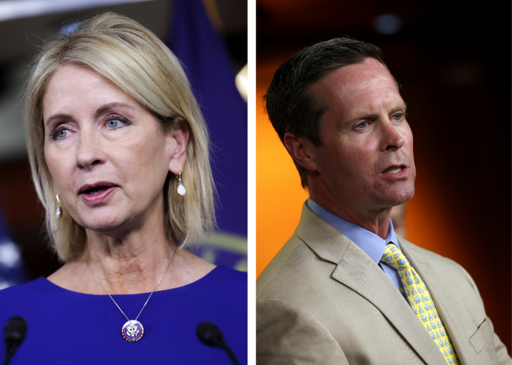 Mary Miller And Rodney Davis Square Off In Heated Gop Primary To Return To Congress Illinois