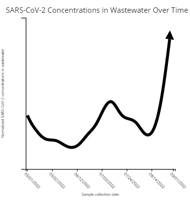 A line graph shows wastewater samples of COVID-19 taken in Champaign County since May 2022. Current levels are much higher than any other time this summer.