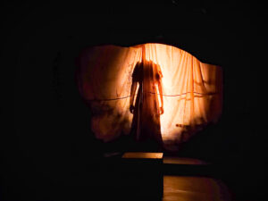 A spotlight illuminates the silhouette of a headless girl behind a curtain.